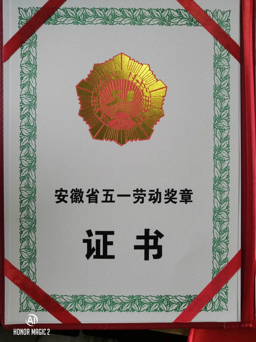 五一奖章.jpg